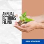 Annual Returns Filing